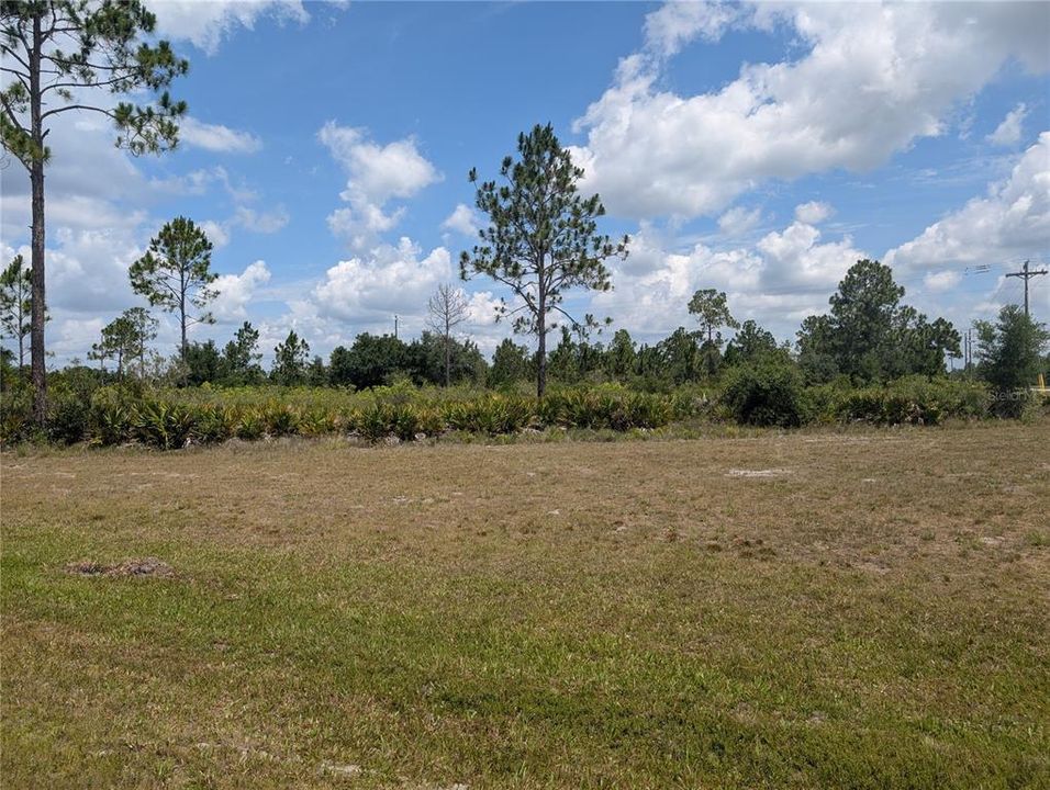 En Venta: $12,000 (0.60 acres)