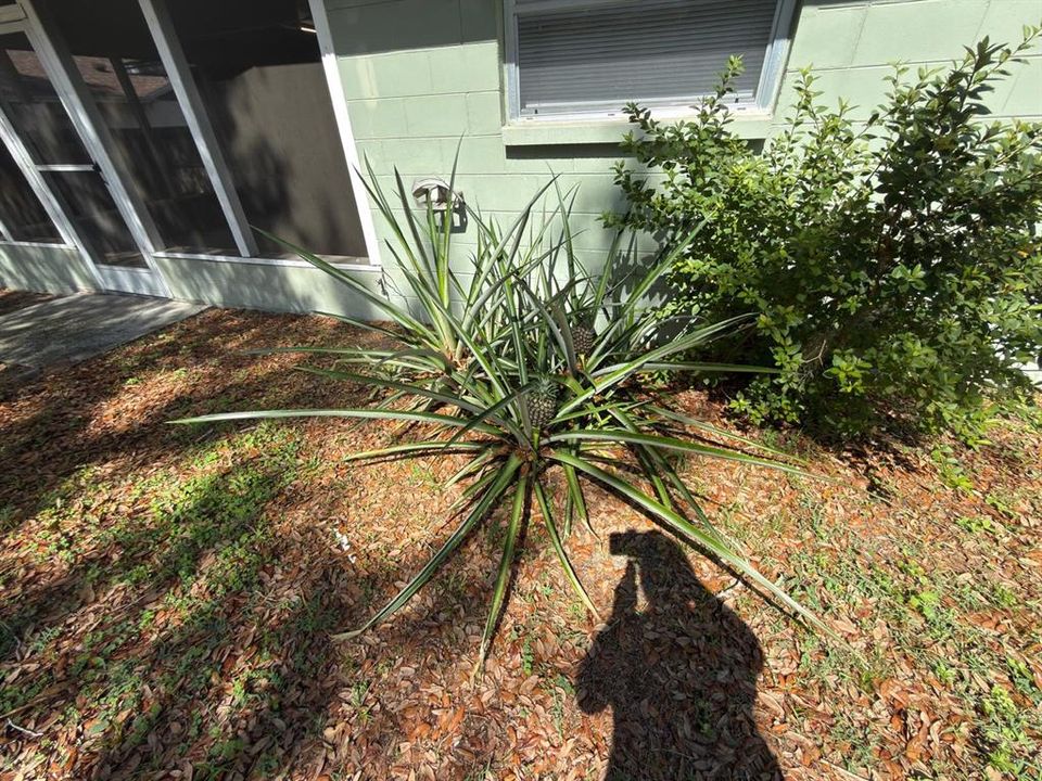 For Sale: $389,000 (4 beds, 2 baths, 1628 Square Feet)