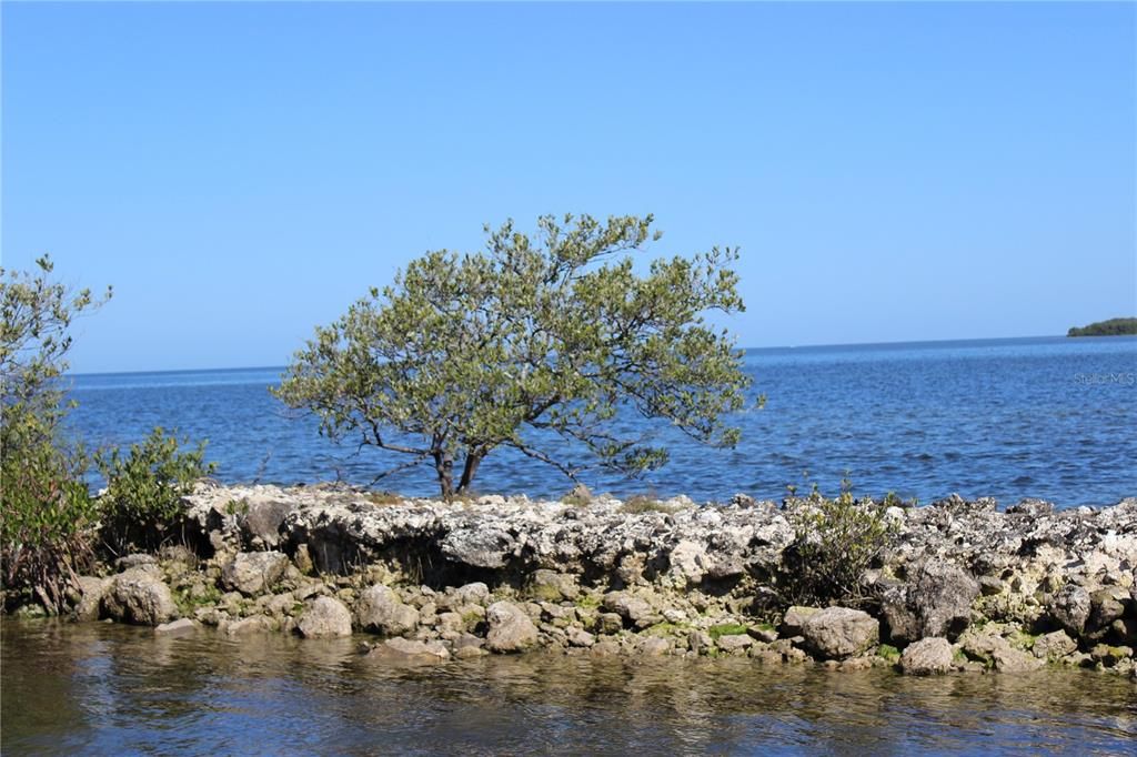 For Sale: $400,000 (2 beds, 1 baths, 1062 Square Feet)