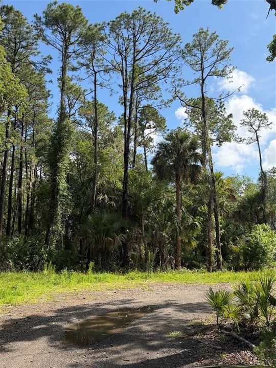 For Sale: $127,500 (1.21 acres)
