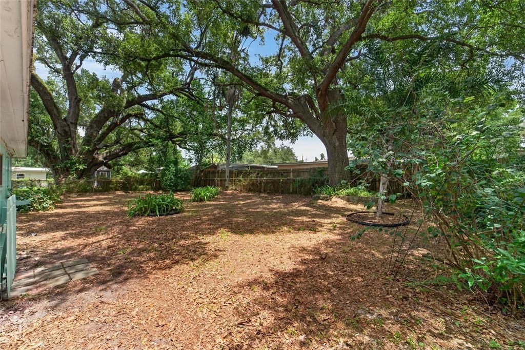 На продажу: $300,000 (3 спален, 1 ванн, 999 Квадратных фут)