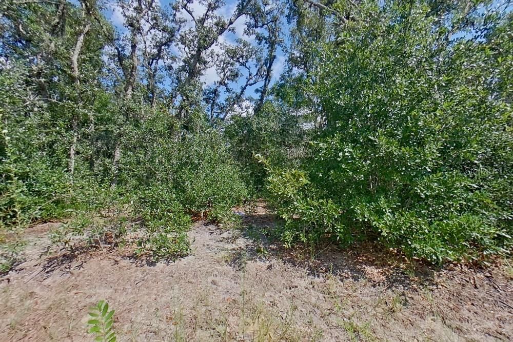 For Rent: $1,795 (4 beds, 2 baths, 1449 Square Feet)
