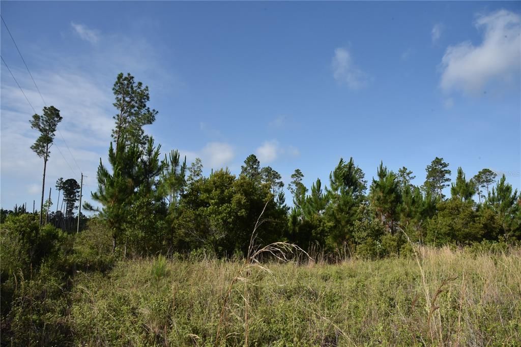 For Sale: $69,900 (7.84 acres)