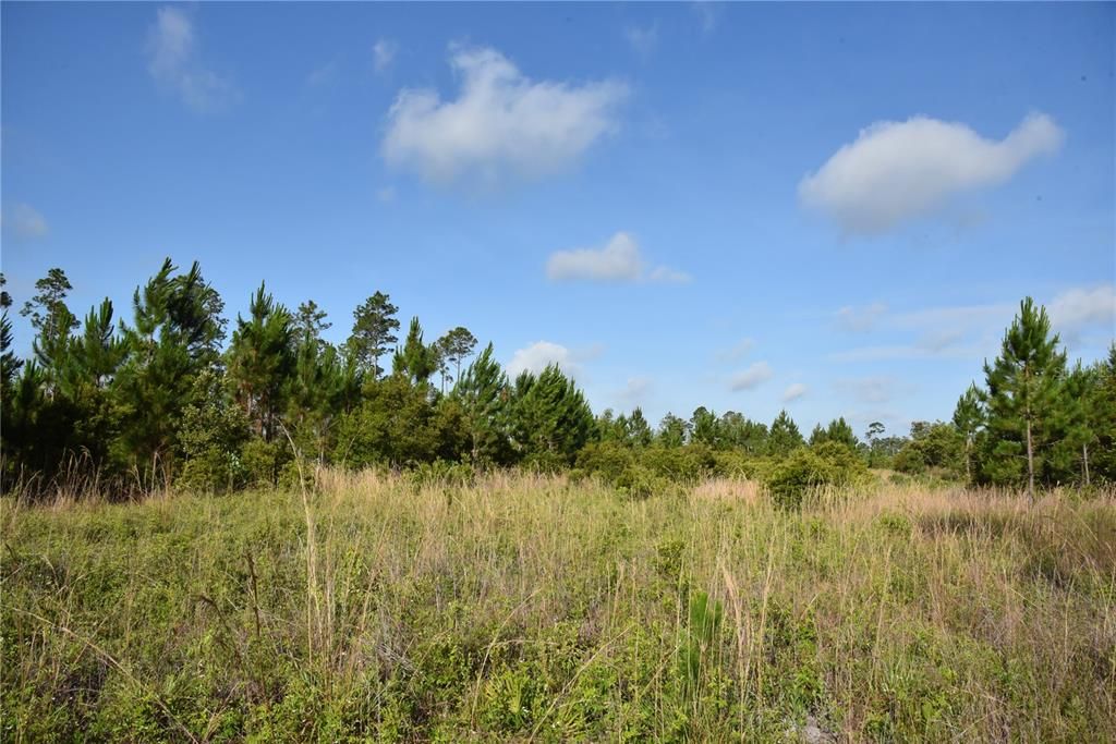 For Sale: $69,900 (7.84 acres)