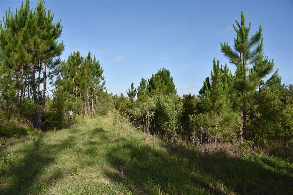 For Sale: $69,900 (7.84 acres)
