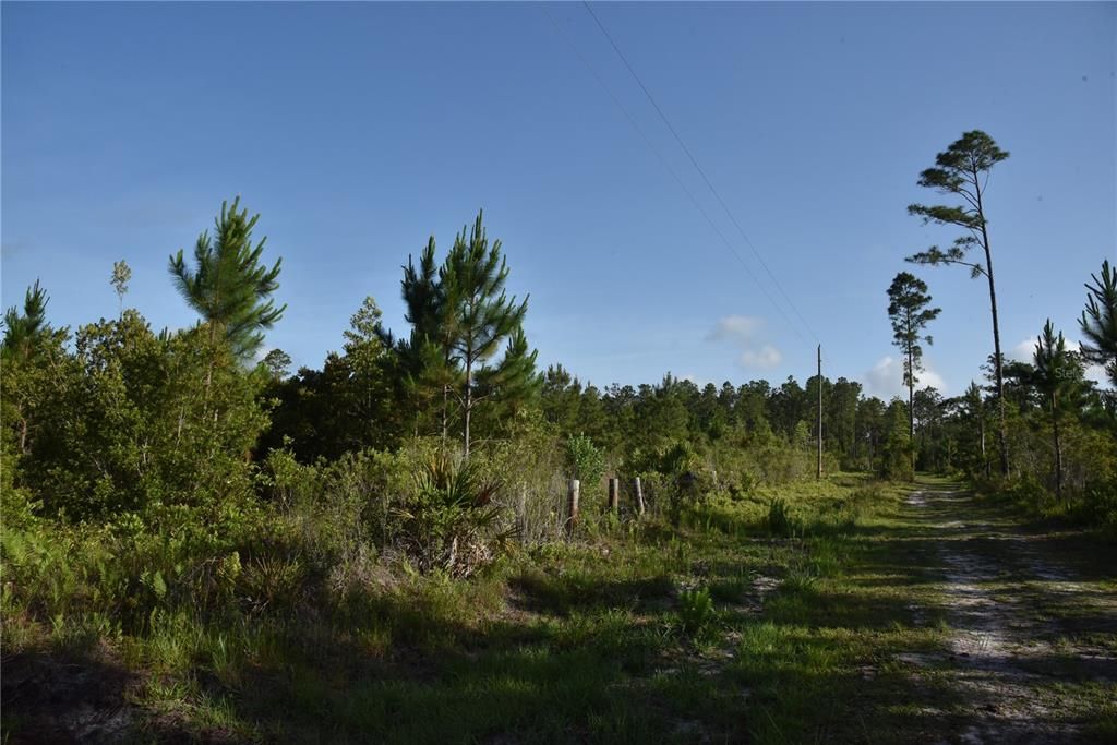 For Sale: $69,900 (7.84 acres)