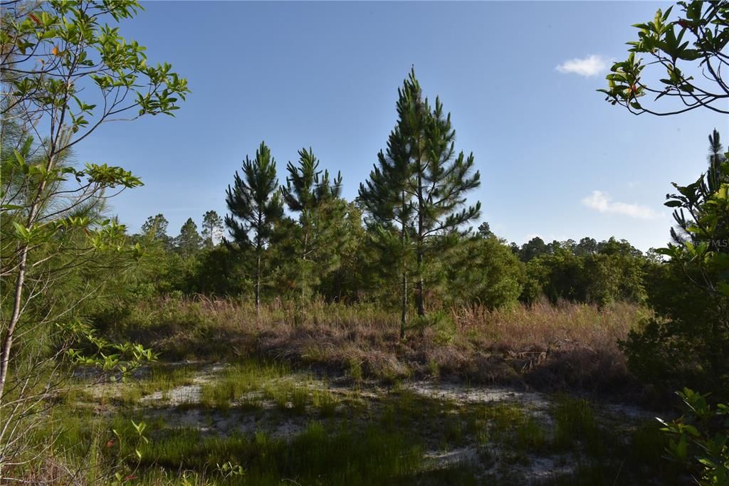 For Sale: $69,900 (7.84 acres)