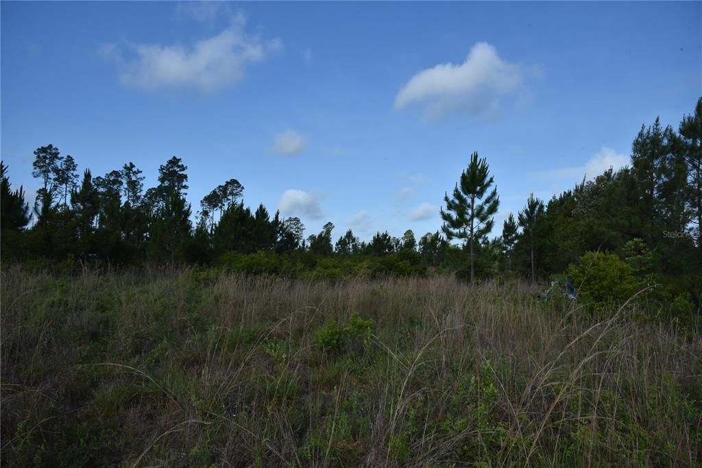 For Sale: $69,900 (7.84 acres)