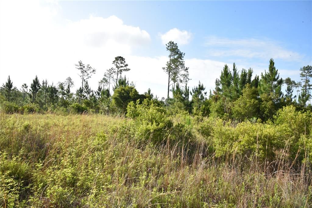 For Sale: $69,900 (7.84 acres)