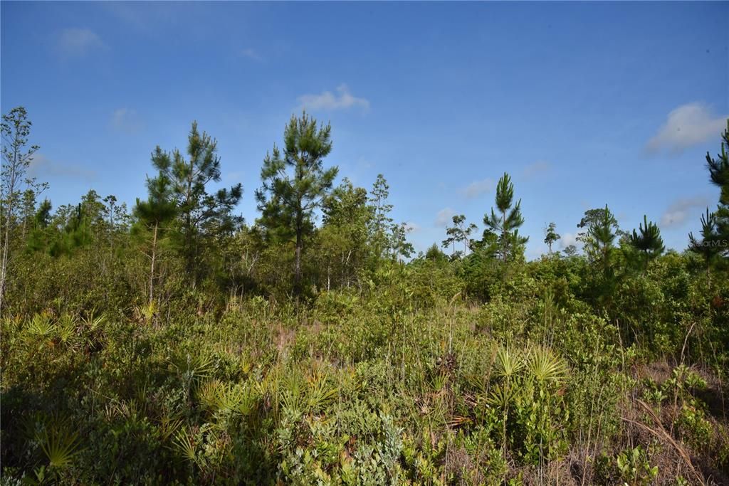 For Sale: $69,900 (7.84 acres)