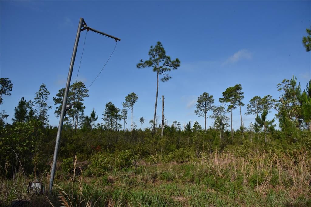 For Sale: $69,900 (7.84 acres)