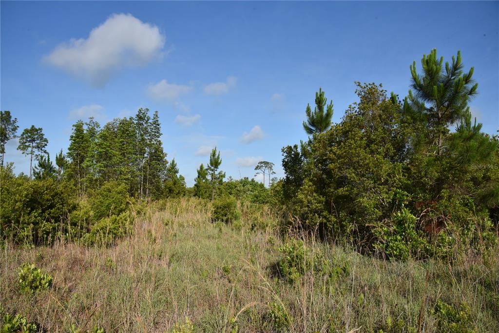 For Sale: $69,900 (7.84 acres)