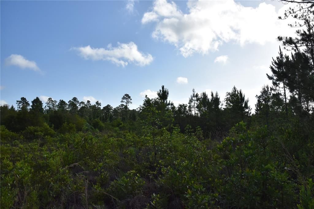 For Sale: $69,900 (7.84 acres)