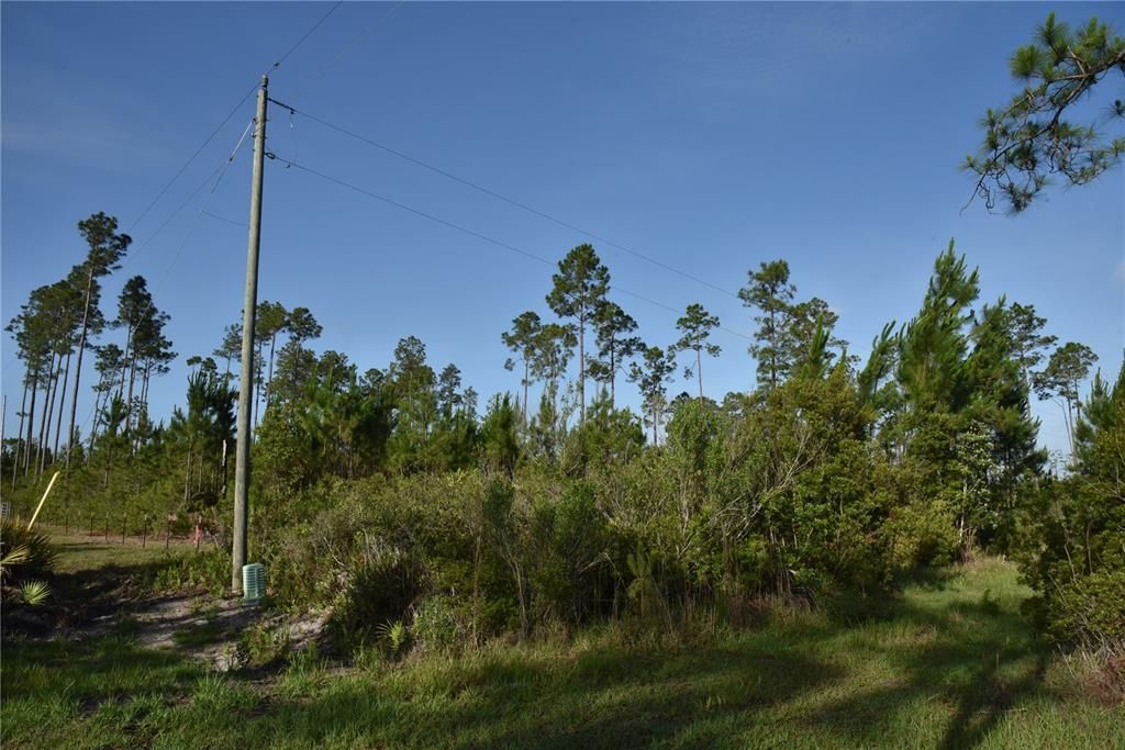 For Sale: $69,900 (7.84 acres)