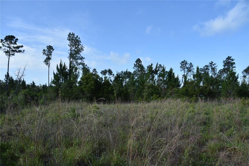 For Sale: $69,900 (7.84 acres)