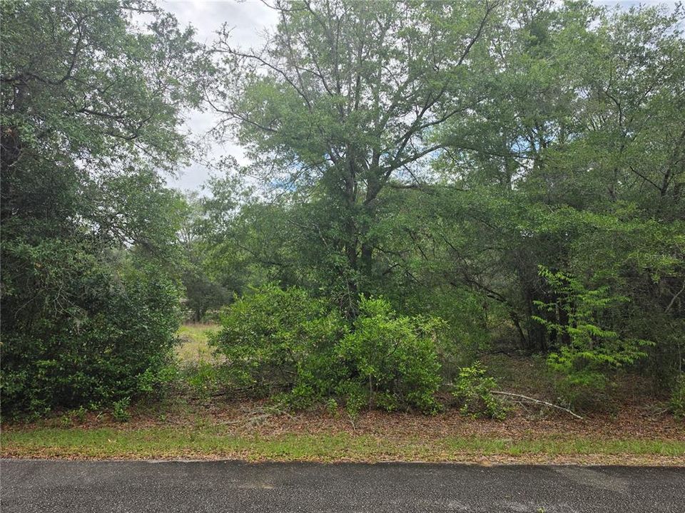 Activo con contrato: $28,000 (0.94 acres)