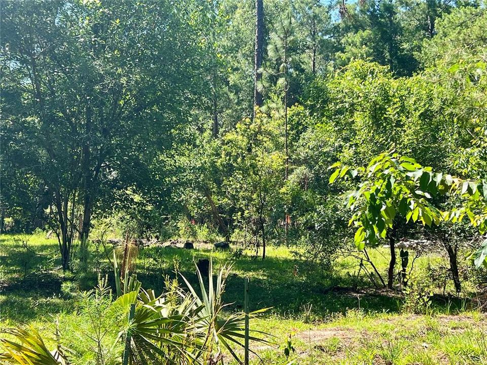 For Sale: $448,000 (7.20 acres)