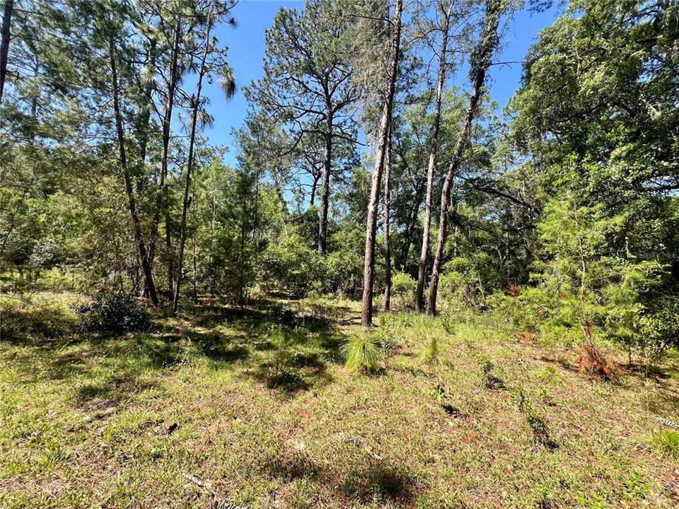 For Sale: $448,000 (7.20 acres)
