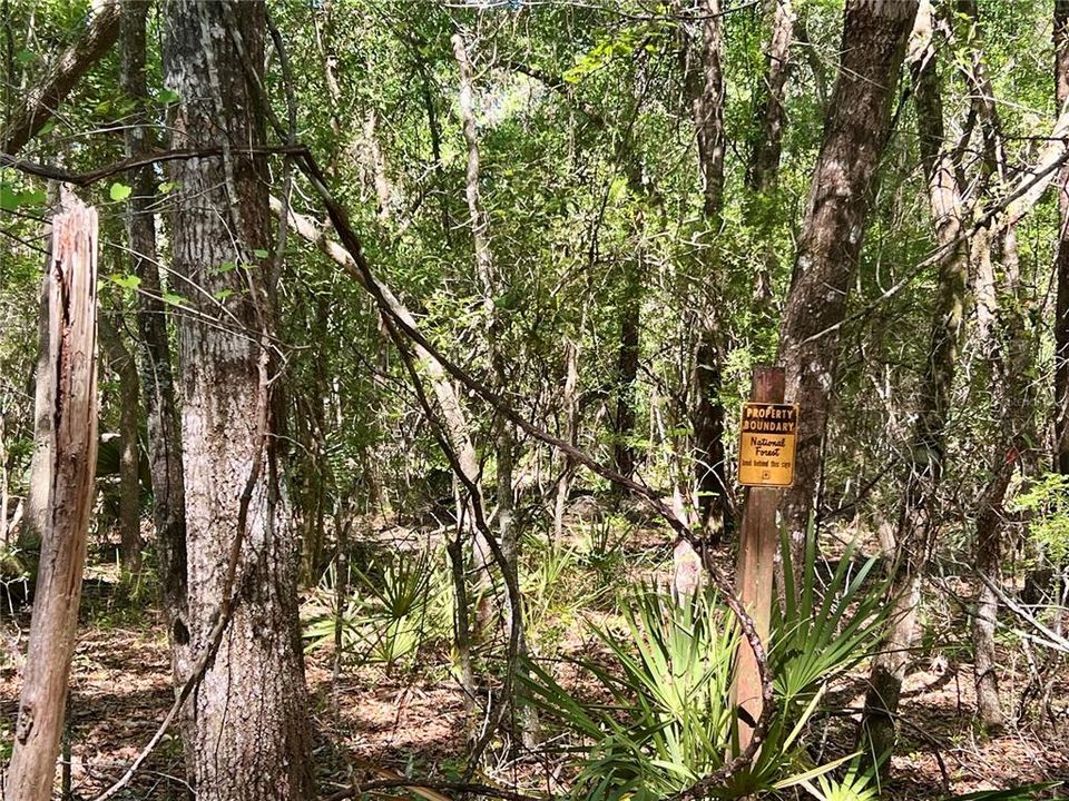 For Sale: $448,000 (7.20 acres)
