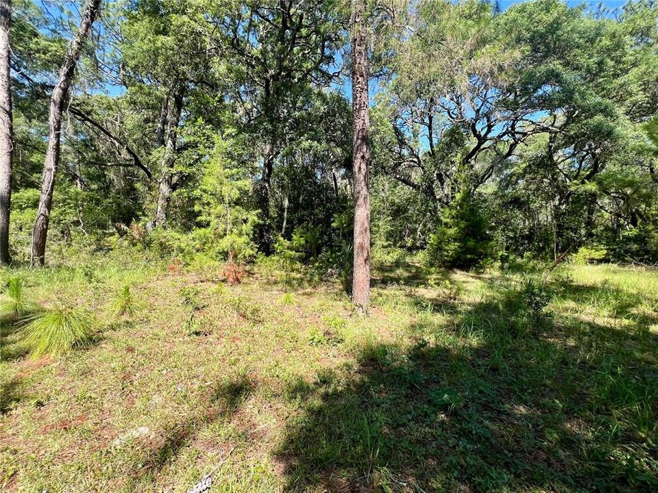 For Sale: $448,000 (7.20 acres)