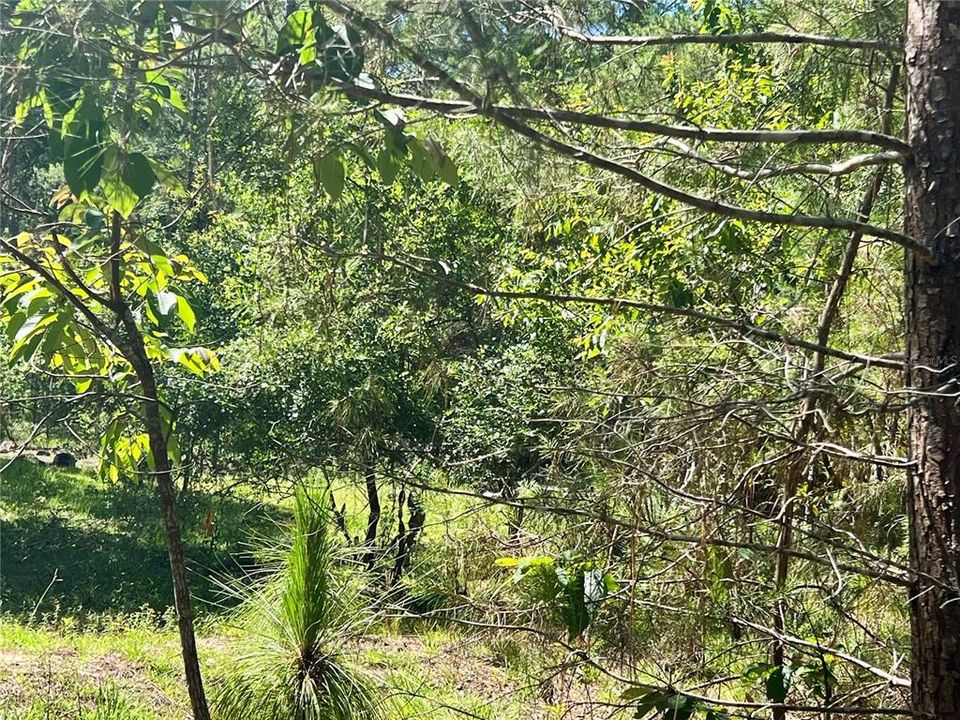 For Sale: $448,000 (7.20 acres)