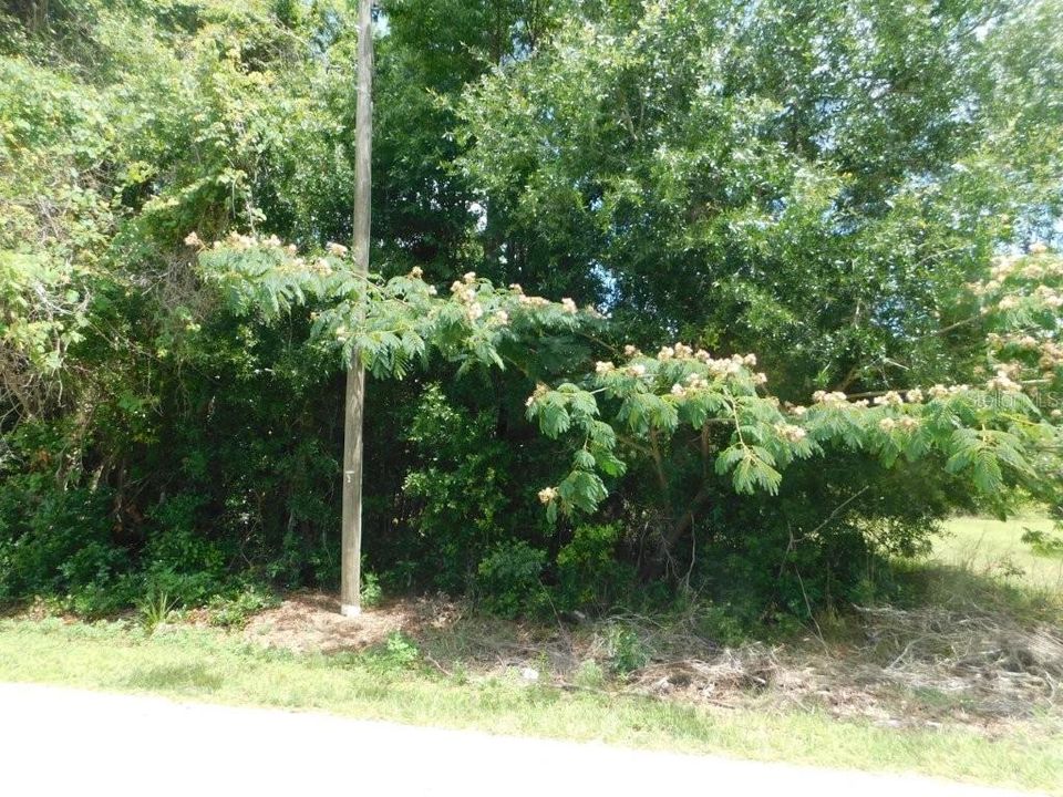 For Sale: $45,000 (0.26 acres)