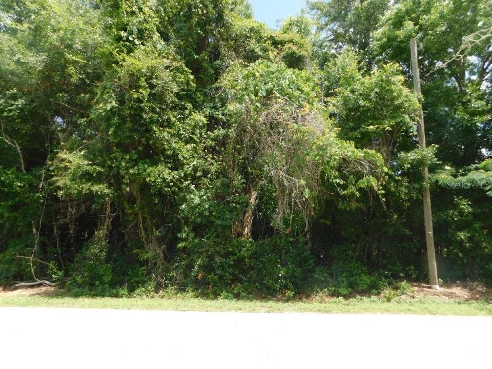 For Sale: $45,000 (0.26 acres)