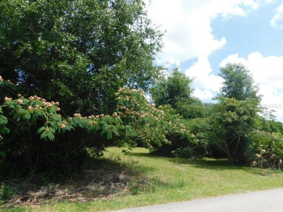 For Sale: $45,000 (0.26 acres)