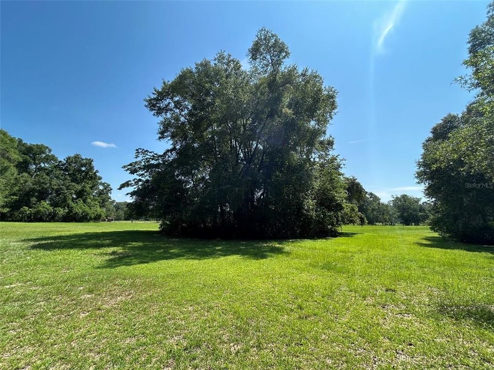 For Sale: $800,000 (5.01 acres)