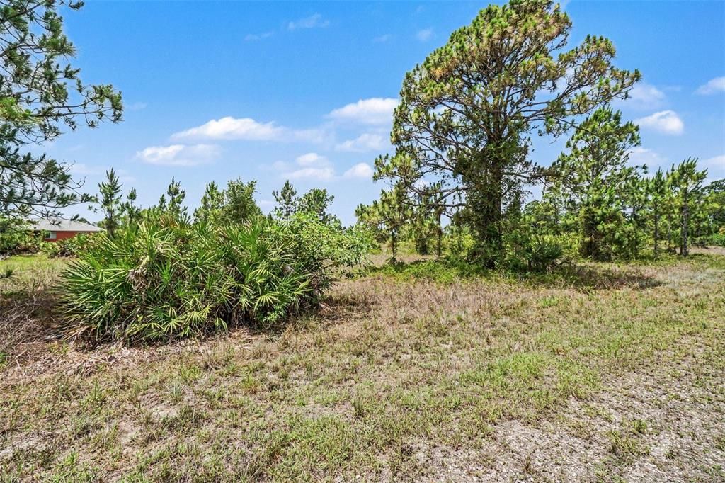 En Venta: $15,000 (0.23 acres)