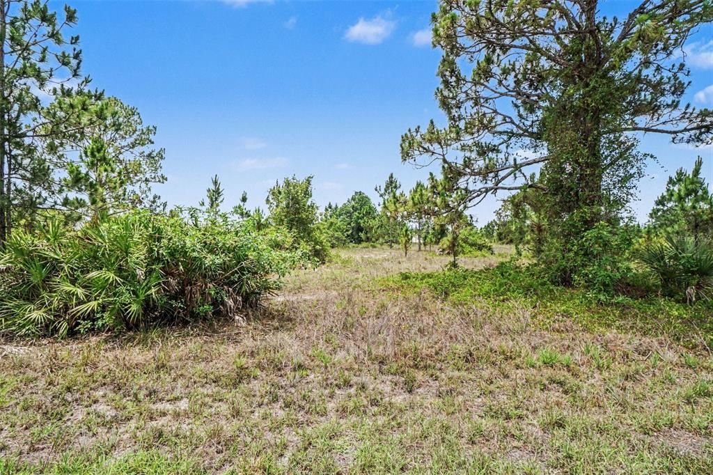 En Venta: $15,000 (0.23 acres)