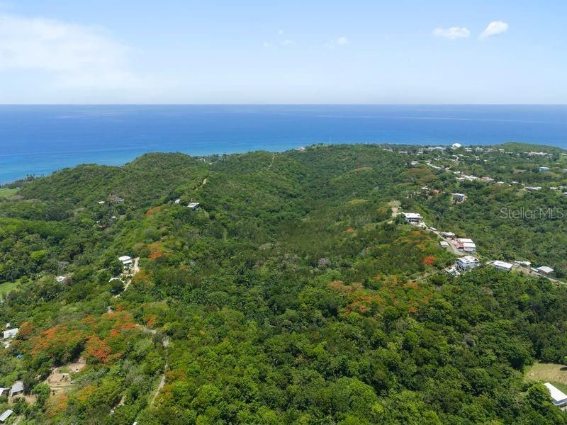 На продажу: $800,000 (4.00 acres)