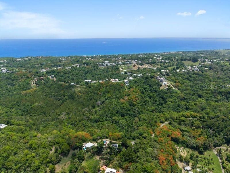 На продажу: $800,000 (4.00 acres)