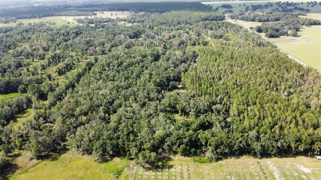 待售: $449,000 (40.00 acres)