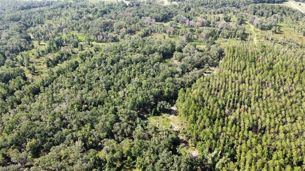 待售: $449,000 (40.00 acres)