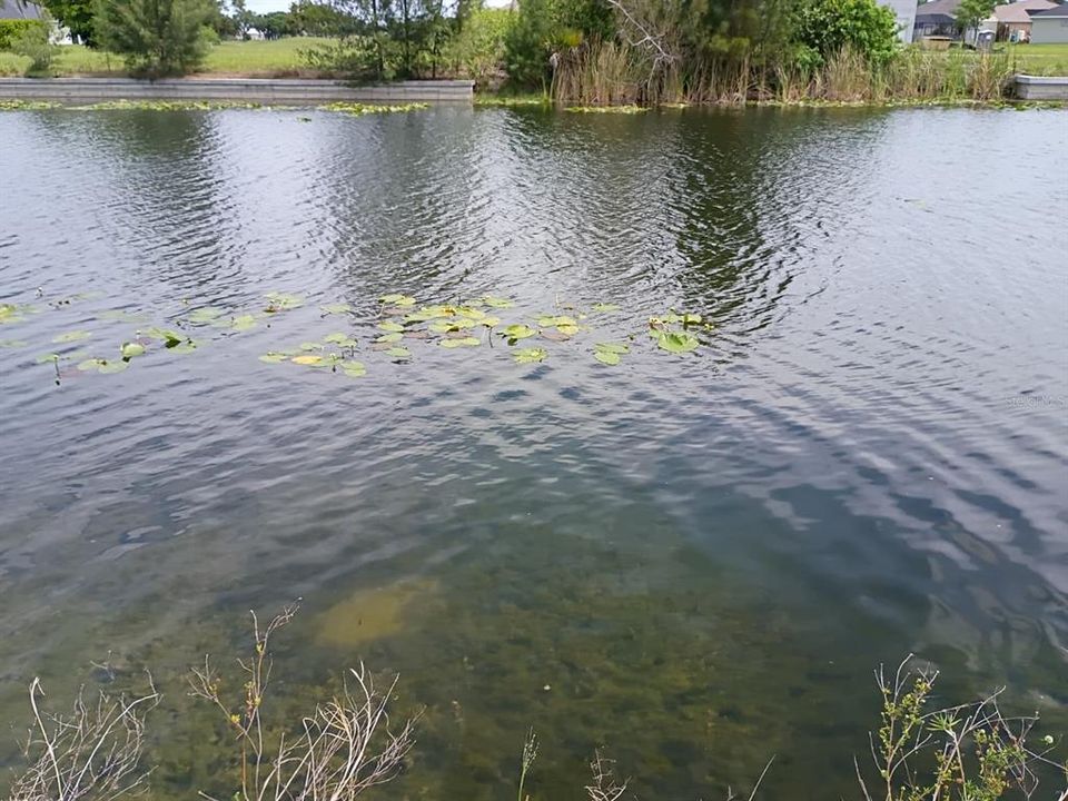 На продажу: $93,000 (0.23 acres)