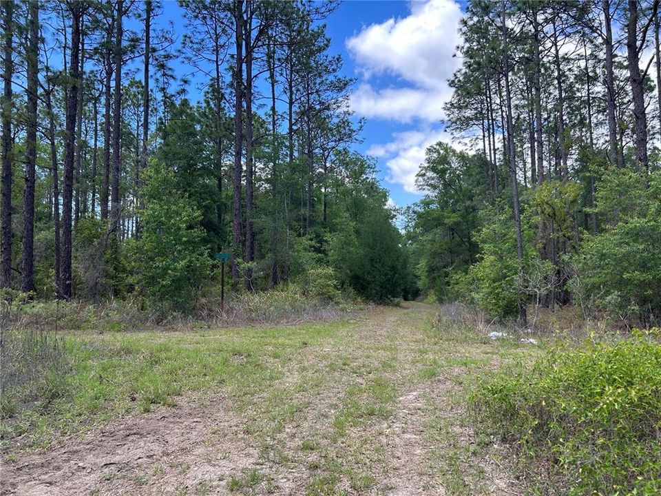 На продажу: $85,000 (1.17 acres)