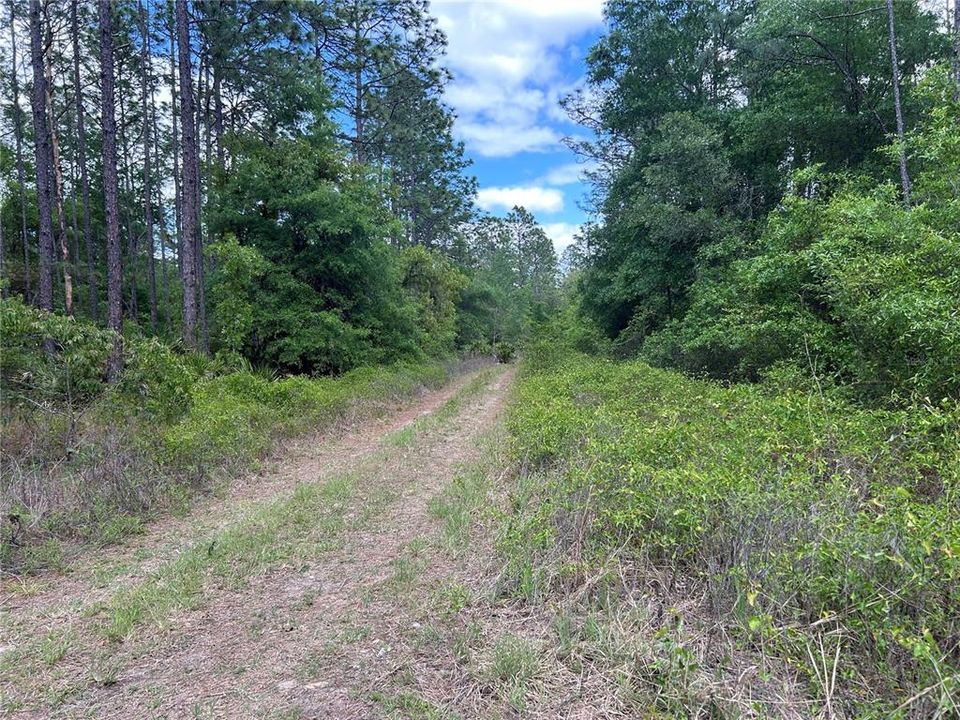 На продажу: $85,000 (1.17 acres)