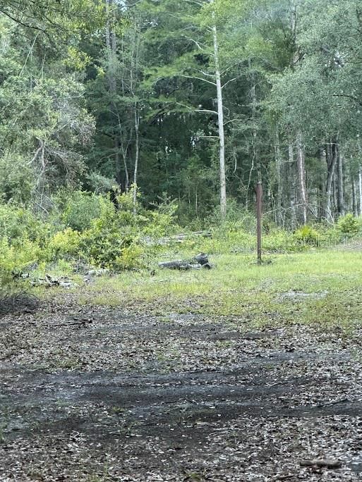 For Sale: $22,000 (1.30 acres)