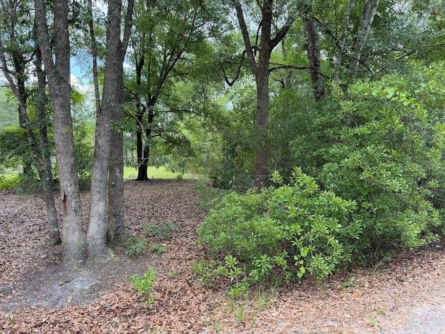 For Sale: $22,000 (1.30 acres)