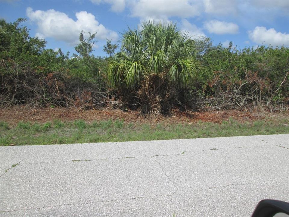 For Sale: $56,000 (0.34 acres)