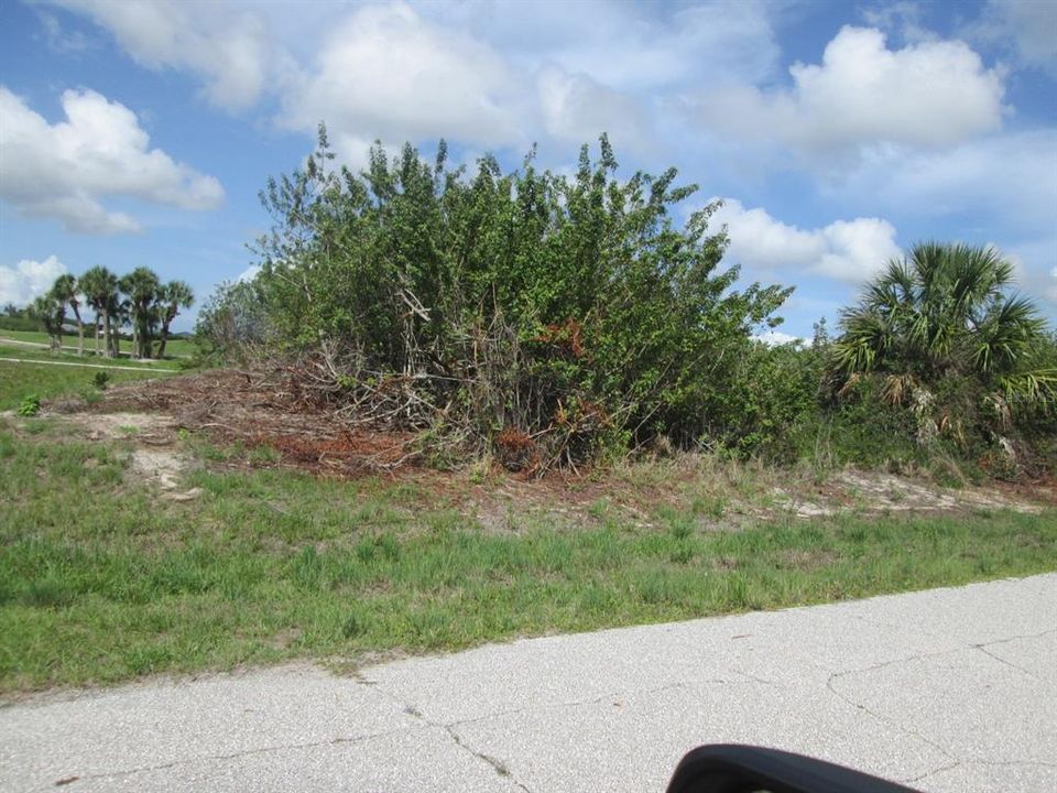For Sale: $56,000 (0.34 acres)
