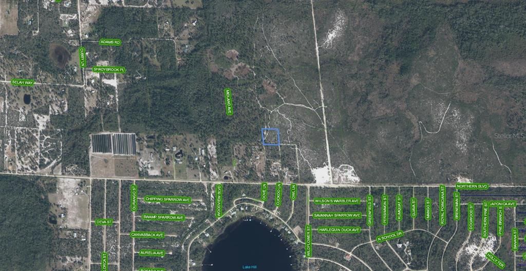 For Sale: $50,000 (2.47 acres)