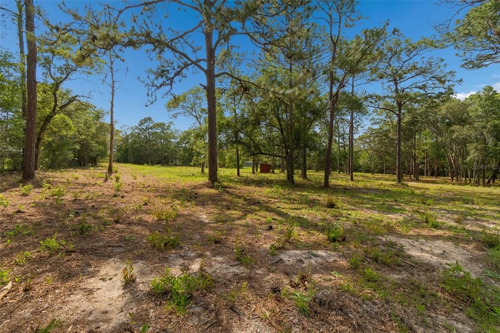 For Sale: $139,000 (2.30 acres)