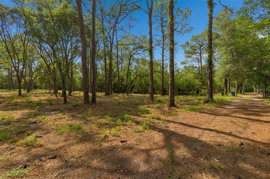 For Sale: $139,000 (2.30 acres)