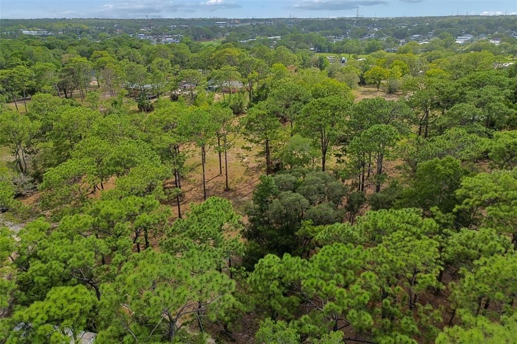 For Sale: $139,000 (2.30 acres)