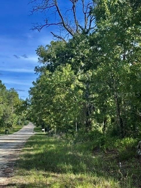 На продажу: $55,000 (1.00 acres)