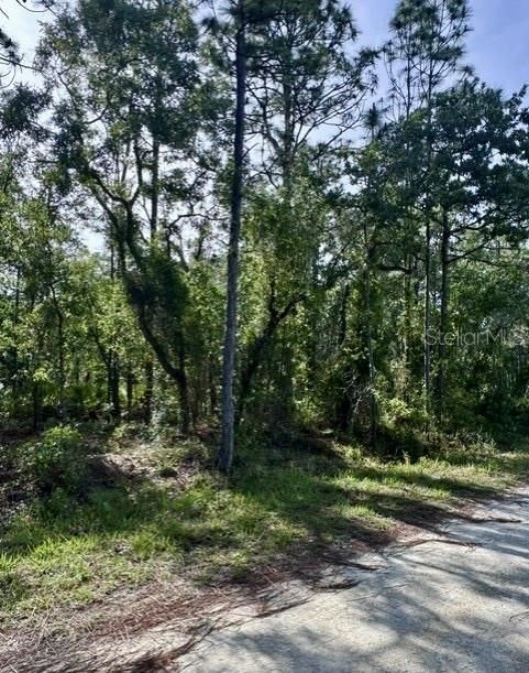 На продажу: $55,000 (1.00 acres)