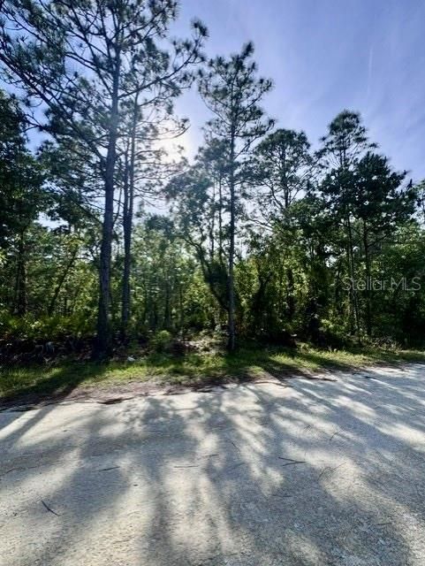 На продажу: $55,000 (1.00 acres)
