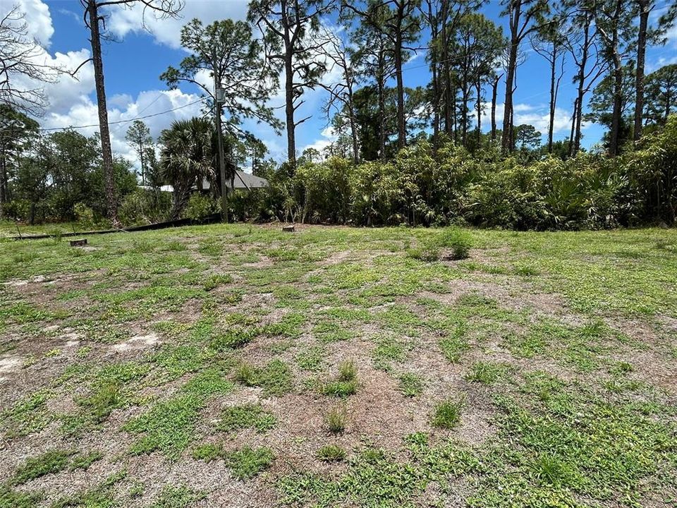 Active With Contract: $1,600 (2 beds, 1 baths, 1004 Square Feet)
